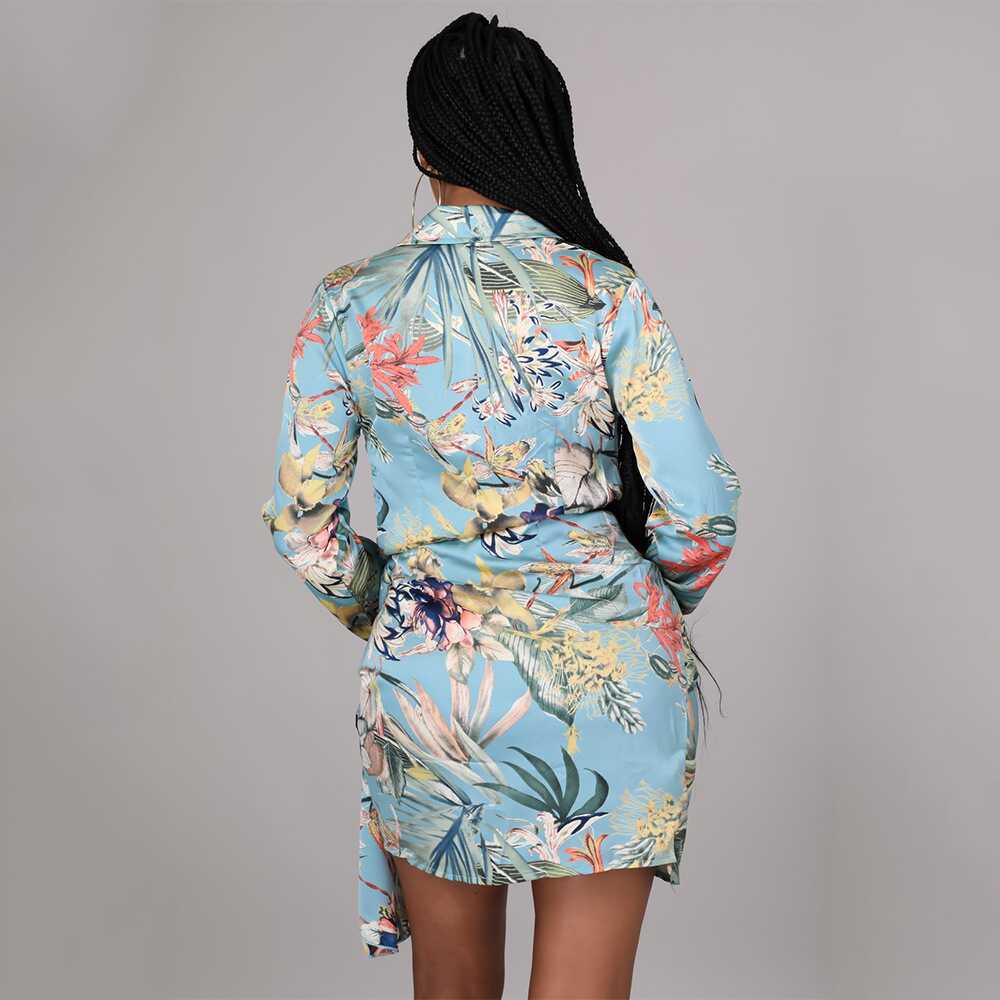 Digital Print Long Sleeve Dress - Ell Soll