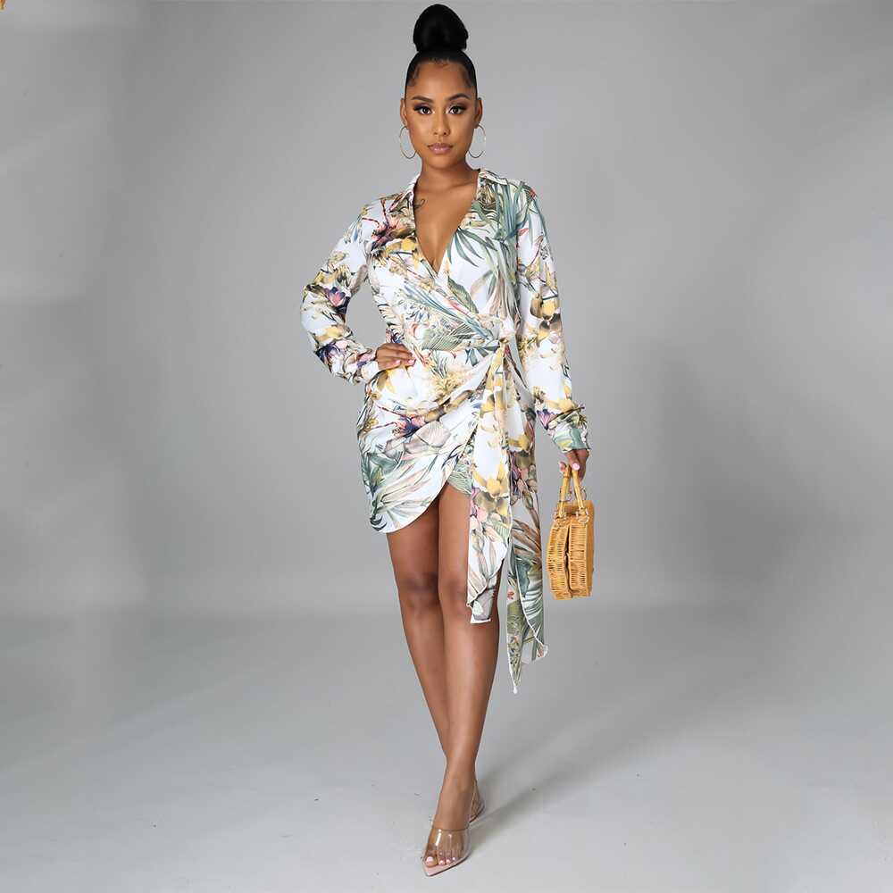 Digital Print Long Sleeve Dress - Ell Soll