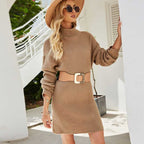 Long Pullover Knitted Sweater Dress - Ell Soll
